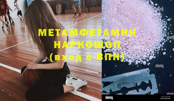 прущие грибы Покачи