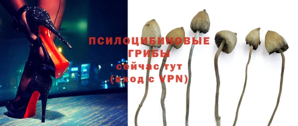 гидра Алексеевка