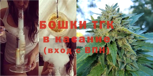 прущие грибы Покачи