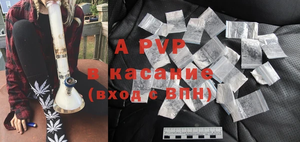 прущие грибы Покачи